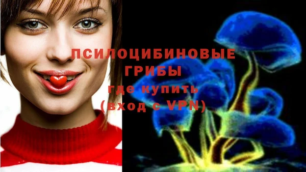 mix Белокуриха