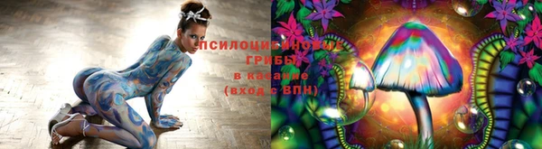 mix Белокуриха
