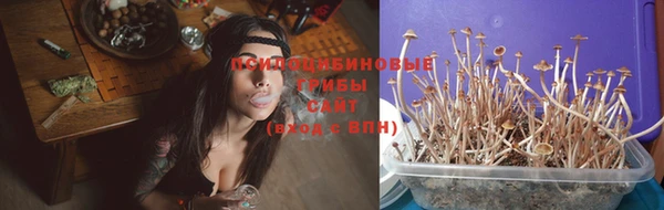 ешки Беломорск