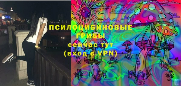 mix Белокуриха