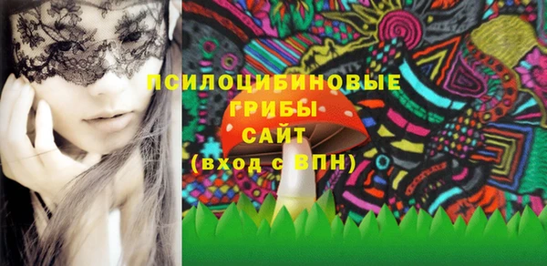 PSILOCYBIN Белоозёрский