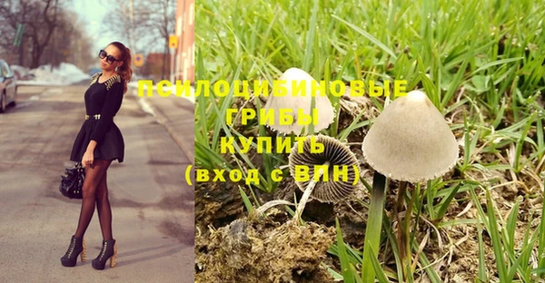 ешки Беломорск