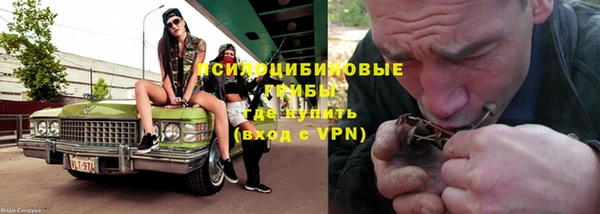 mix Белокуриха
