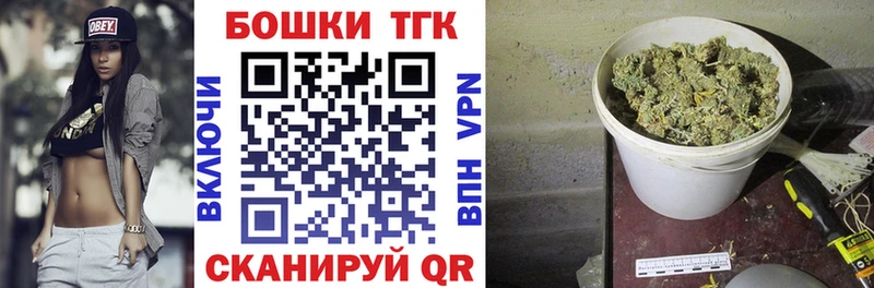 mega ССЫЛКА  Светлогорск  Каннабис OG Kush  как найти  